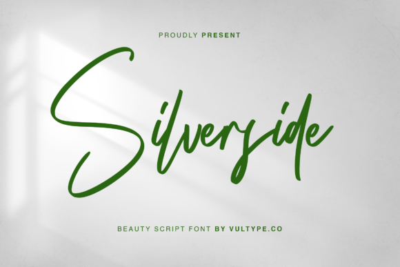Discover Silverside: A Modern Script Font for Web Design