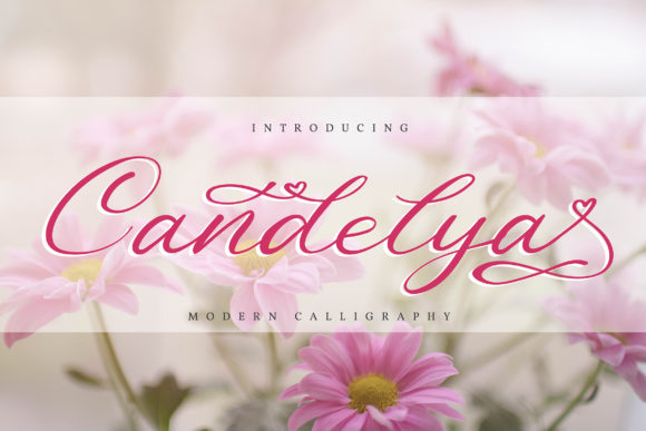Elevate Your Editorial Designs with Candelya Font