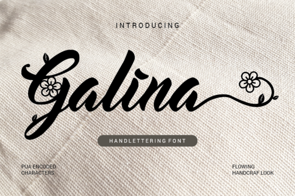 Enhance Your Brand with Galina: A Premium Script Font