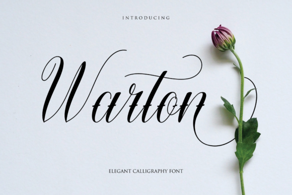 Warton: A Premium Script Font for Editorial Elegance